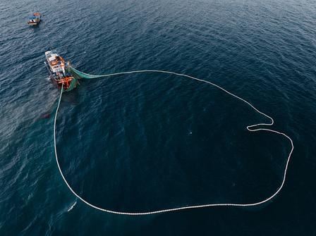 Coastal Purse Seine Net For Sardine, Anchovy & Mackerel