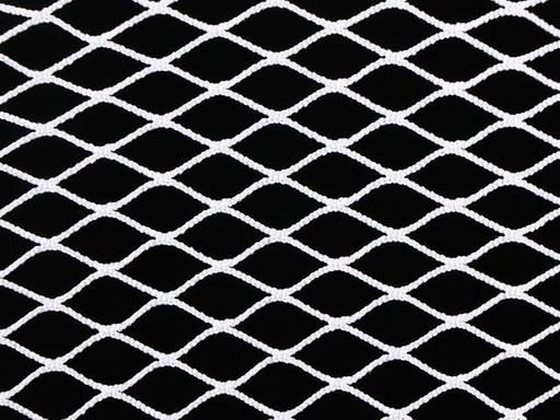 Seine Nets Detail