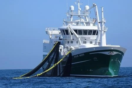 Industry News: Key Factors To Consider When Selecting PE Trawl Netting For Co...