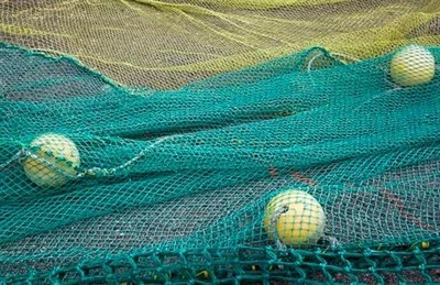 Heavy-Duty Lake Seine Net For Commercial Fishing
