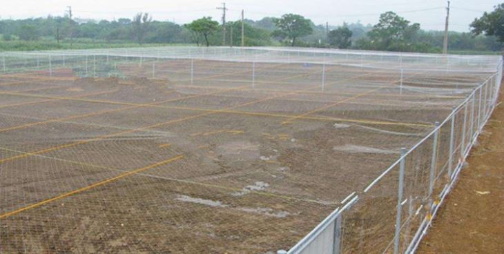 Anti-bird Netting