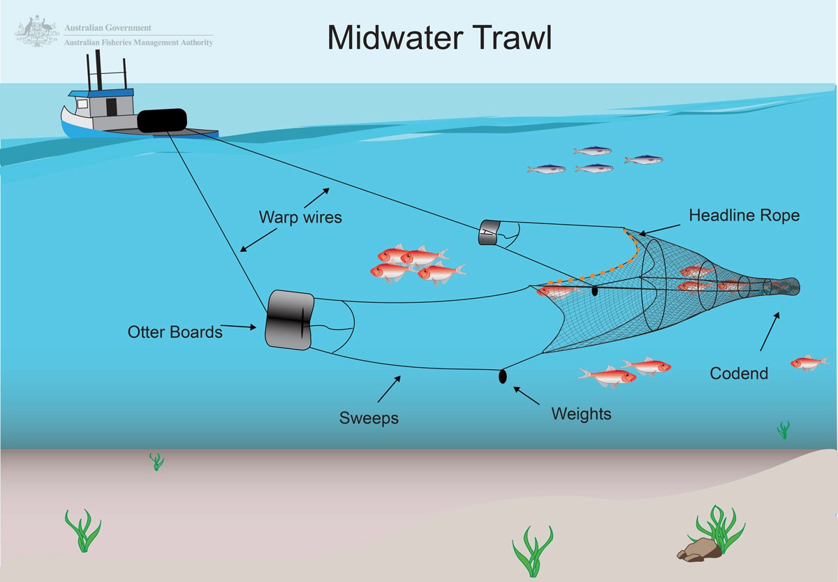 The History Of Trawl Fishing