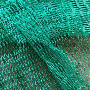 Zhejiang Marine Aquaculture Research Institute To Build A Fishery Big Data Pl...
