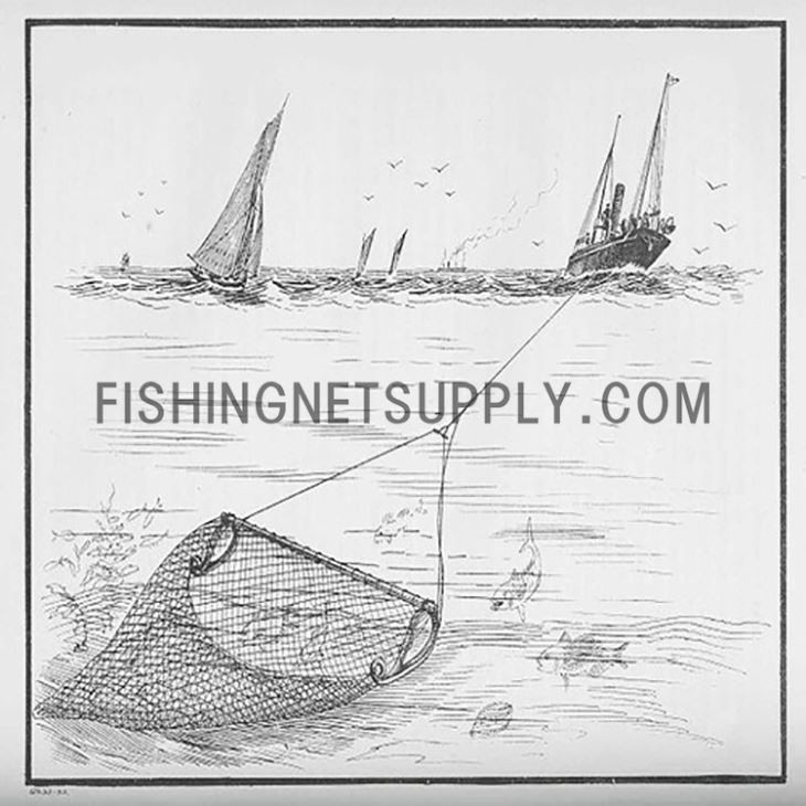 Shrimp Trawls