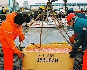 Audit Body Questions Effectiveness Of Directorate Of Fisheries
