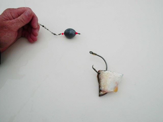 Circle Hook & J Hook