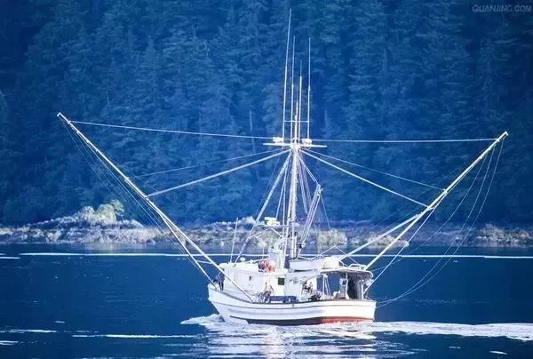 What Is Longline Fishing